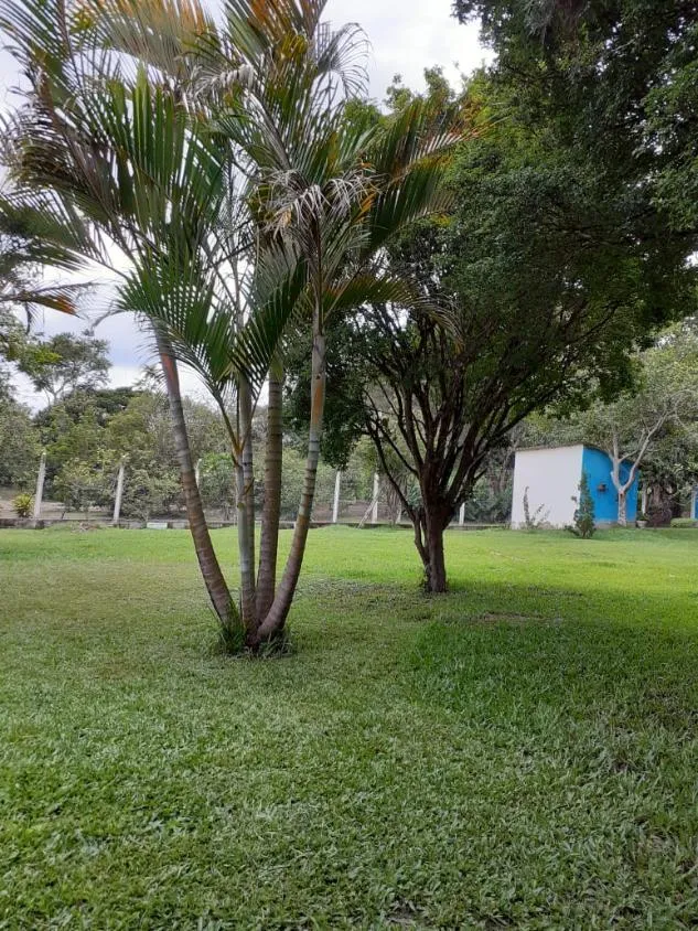 Imagem Sítio a venda de 8,6 hectares (86.000 m²) em Brumadinho/MG,