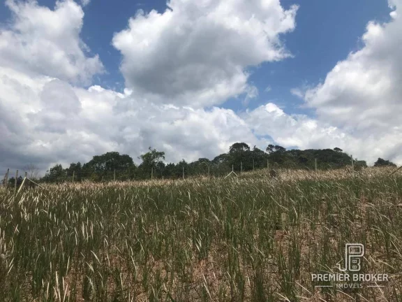 Foto do imóvel Terreno à venda, 630 m² - Pessegueiros - Teresópolis/RJ