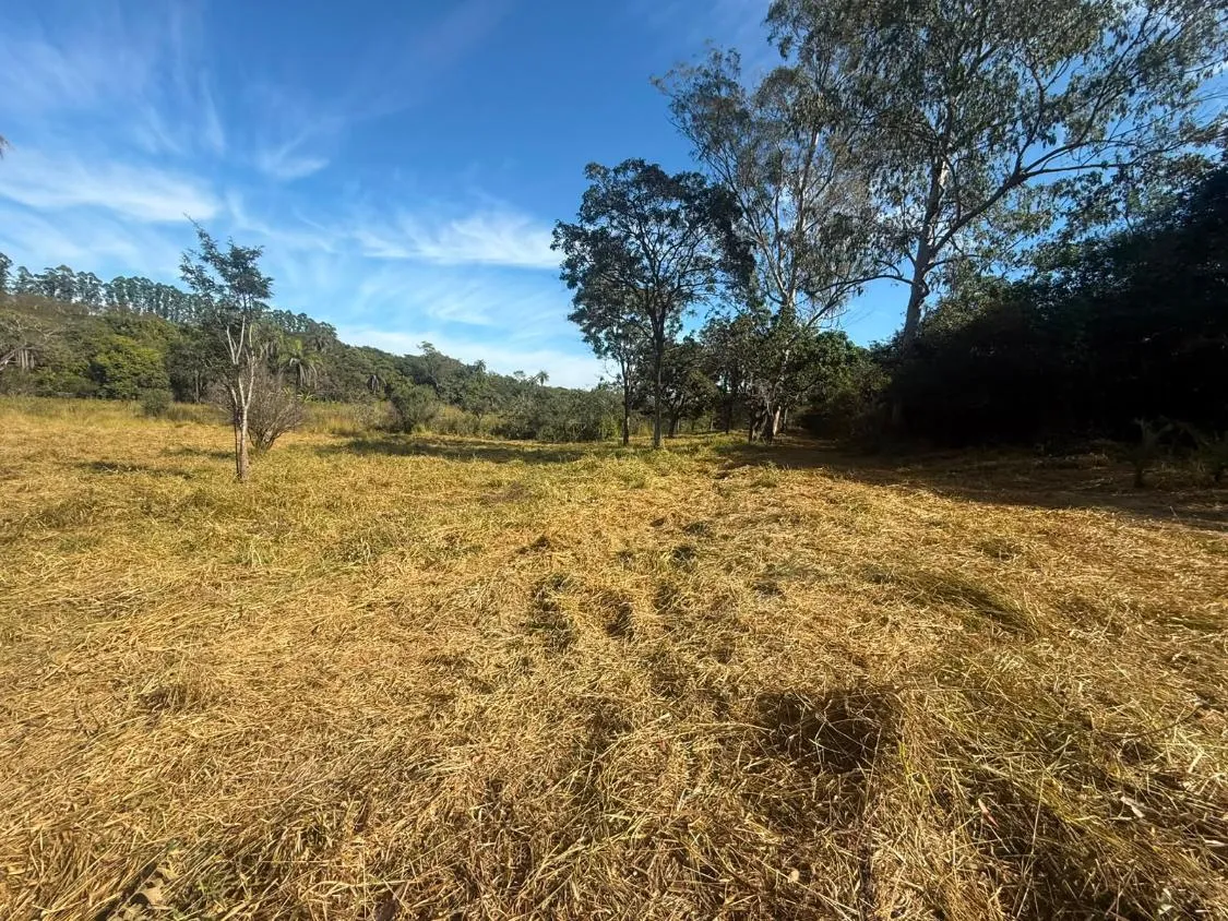 Imagem FAZENDA À VENDA EM CARMÓPOLIS DE MINAS /Área total: 315 hectares