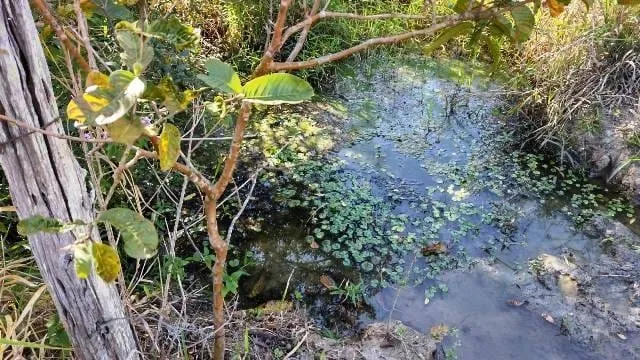 Imagem Chácara à venda, Borba, Pindamonhangaba, SP