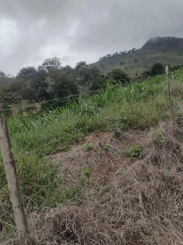 Imagem Terreno à Venda em São Domingos do Prata/MG com 25,5 hectares de terra