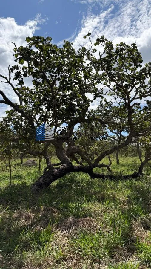 Imagem Chácara para Venda em Cidade Ocidental, Área Rural de Cidade Ocidental