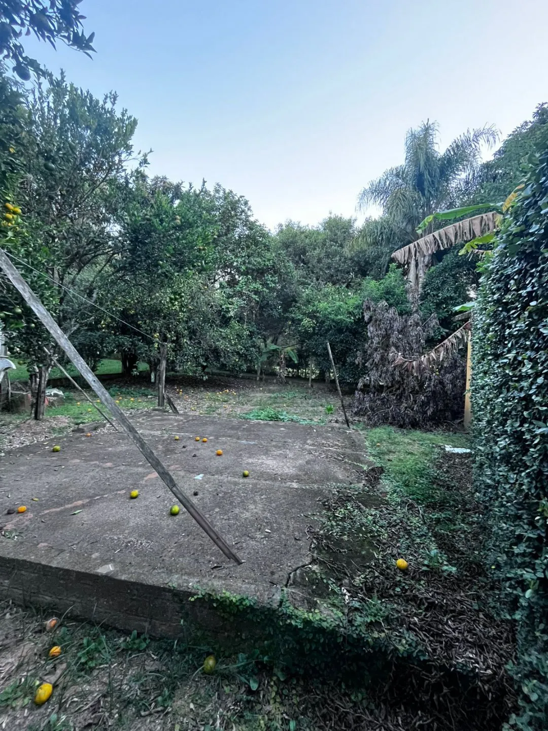Imagem CASA À VENDA NO CONDOMÍNIO SOCIEDADE LAGOA - ÁGUAS CLARAS | VIAMÃO