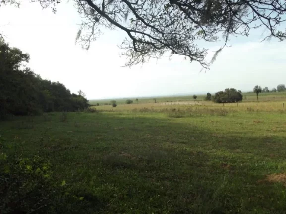 Imagem Excelente área para Condomínio ou Loteamento região central de Águas Claras