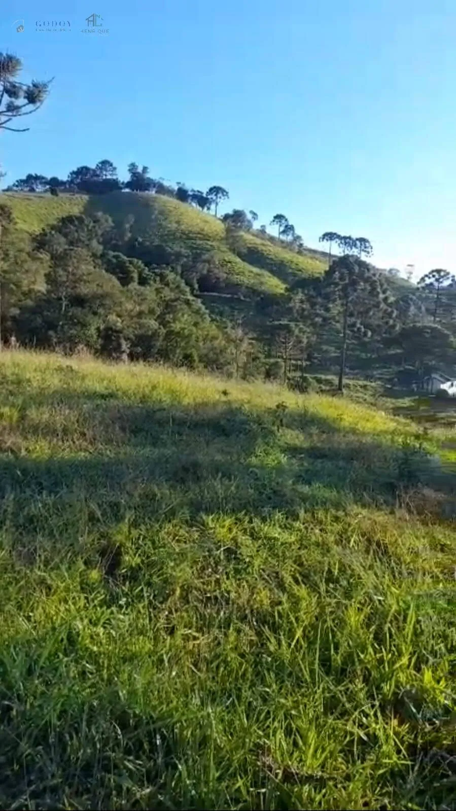 Imagem Sítio à venda com 16 hectares - Região do Rio Manos | Cunha - SP