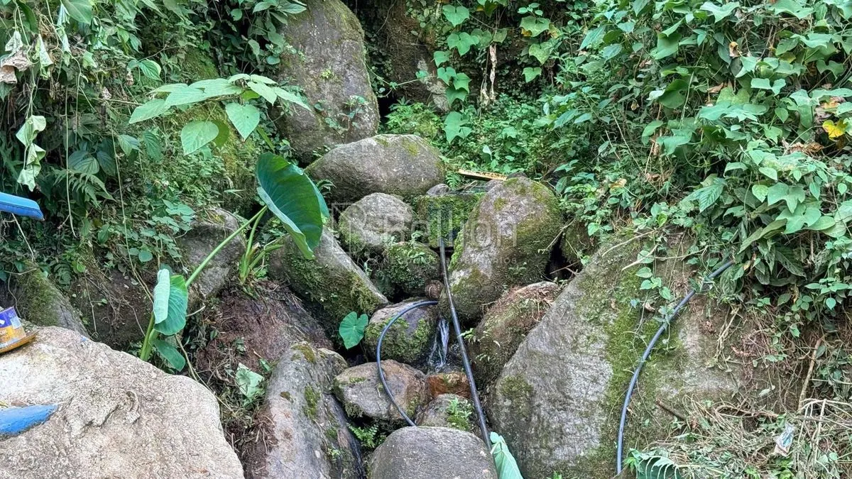Imagem Terreno à venda em Rio dos Cedros - 45.000 m² com potencial para sítio ou cabanas