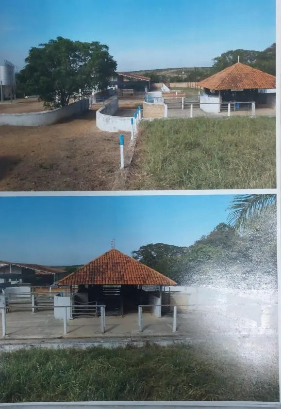 Imagem FAZENDA À VENDA - MORRO DA GARÇA (MG) 208 hectares de área total,