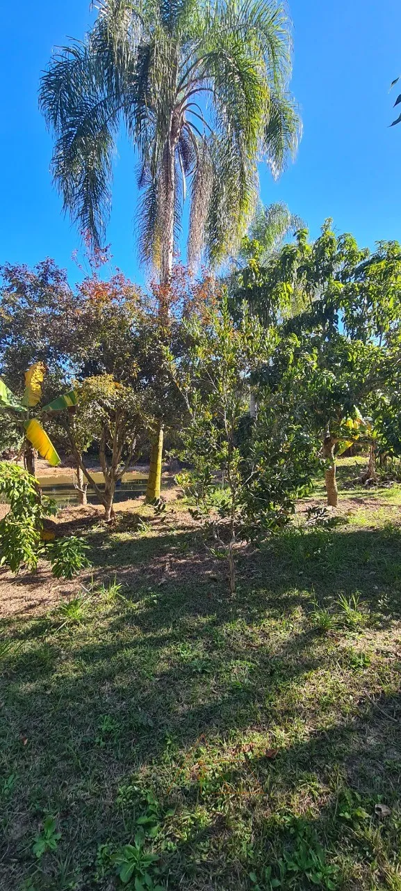 Imagem Chácara à venda em Quadra-SP, bairro Aleluia: 3 quartos, 1 sala, 2 banheiro, 120,00m² de área. Imperdível!