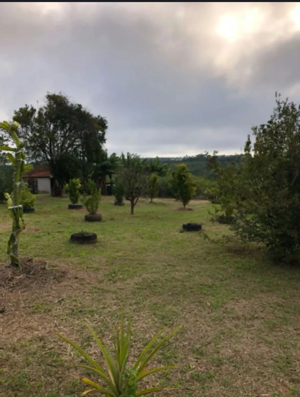 Imagem Propriedade incrível à venda em São Miguel Arcanjo - Potencial Produtivo e Lazer em Meio à Natureza