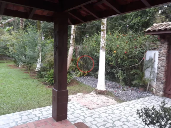 Imagem CASA AMPLA A VENDA EM BOISSUCANGA COM 4 DORMITÓRIOS, SENDO 2 SUÍTES QUINTAL GRANDE ,ÁREA GOURMET E JARDIM