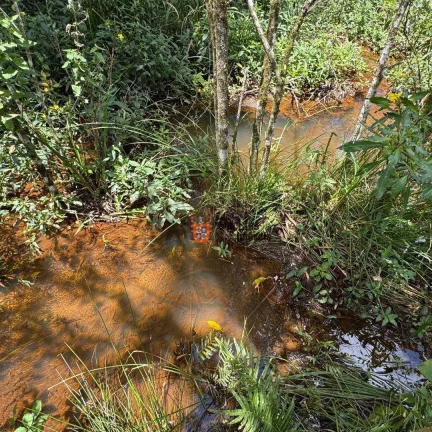 Imagem Área à venda, 13 alqueires paulista por R$ 5.300.000 - São Mateus - Camanducaia/MG