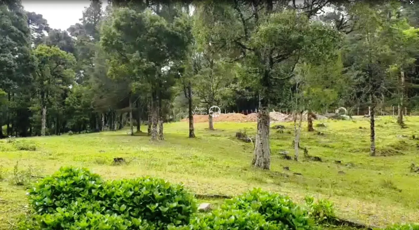 Foto do imóvel Oportunidade para Investidores Terreno à venda em Canela/RS