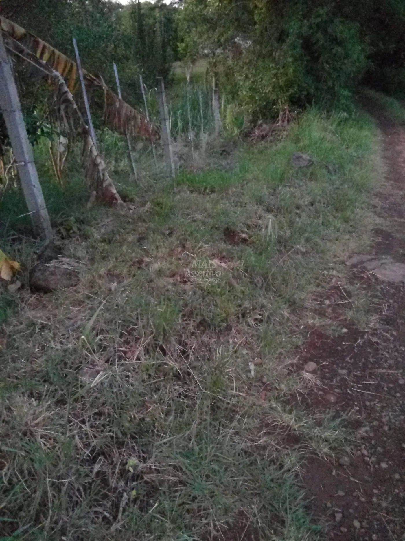 Imagem Chácara para venda em Rolante (8.000m²)