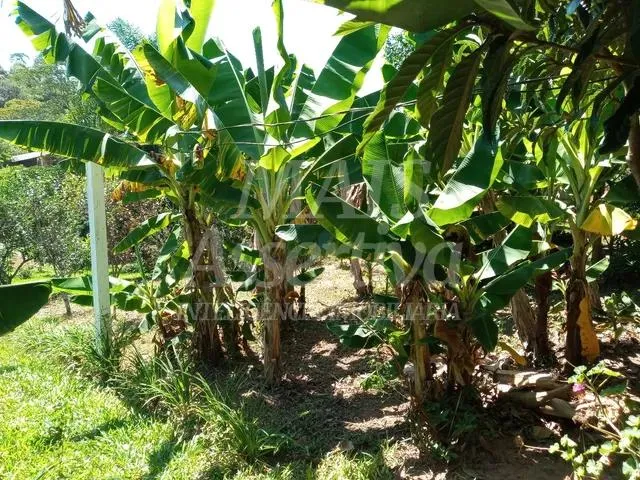 Imagem Sitio para venda de 2.400m² em São Sebastião do Cai/RS.