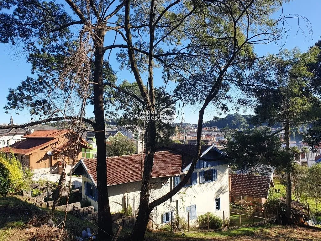 Imagem Terreno à venda, 1546 m2 por R$ 1.200.000 - Centro - Canela/RS
