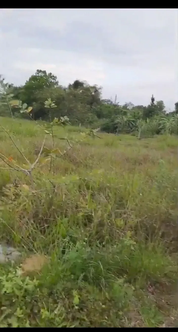 Imagem Terreno à Venda, 120 m² em Cidade Jardim Parque Estoril - Nova Iguaçu