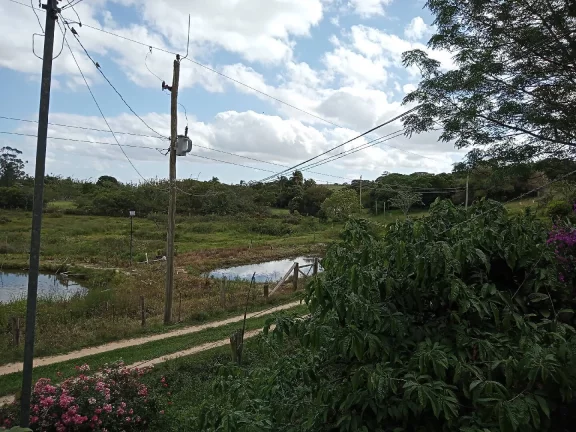 Imagem Sítio Rural com 3.6 hectares, açude, localizado no Capão da porteira