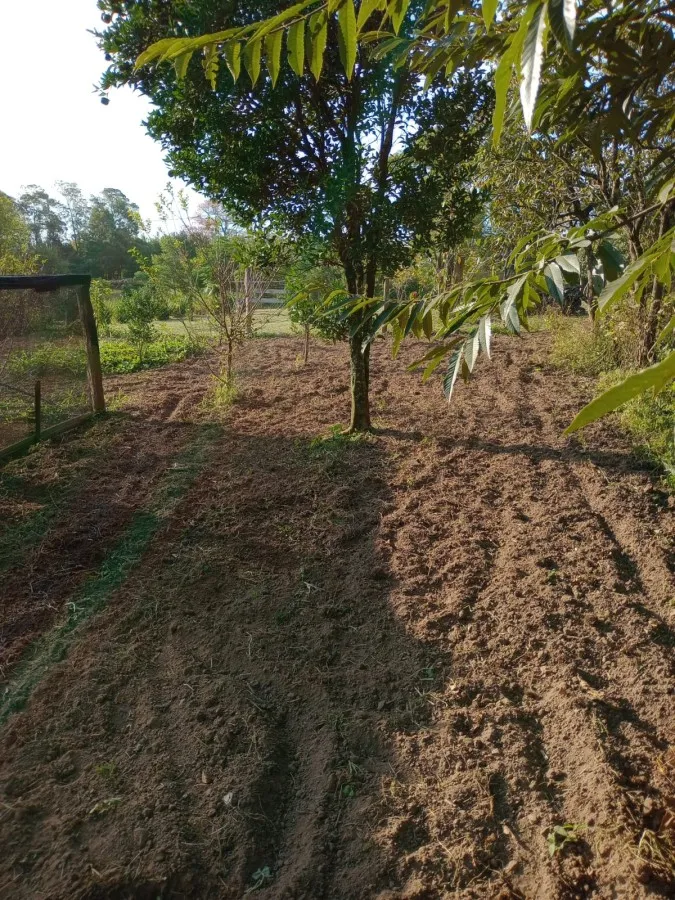 Imagem Sítio para Venda em Pelotas, Monte Bonito, 2 dormitórios, 1 banheiro, 1 vaga