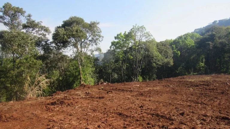 Imagem Terreno para Venda em Concórdia, Interior