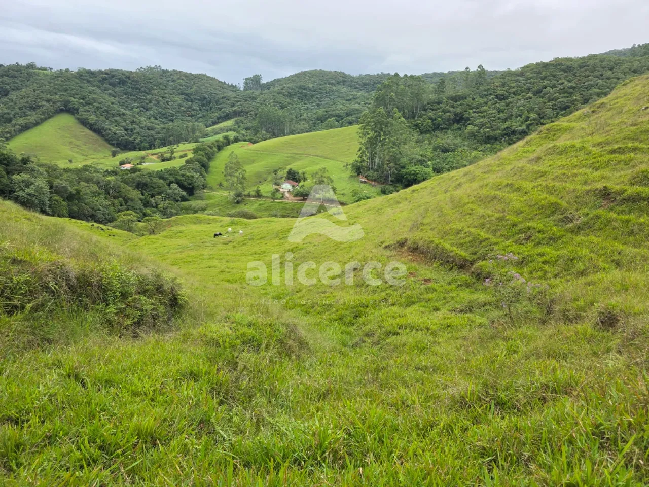 Imagem Sítio à venda em Antônio Carlos, SC, na Zona Rural - Morro da Gloria.