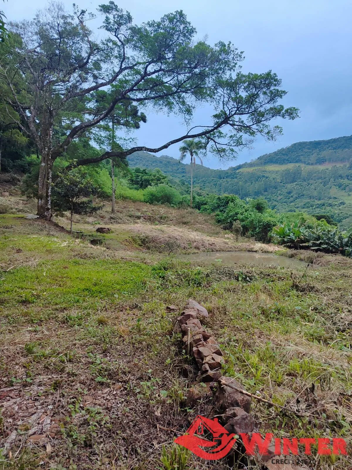 Imagem Área de terras com 28.571,42m² no Morro Gaúcho, Vale Real.