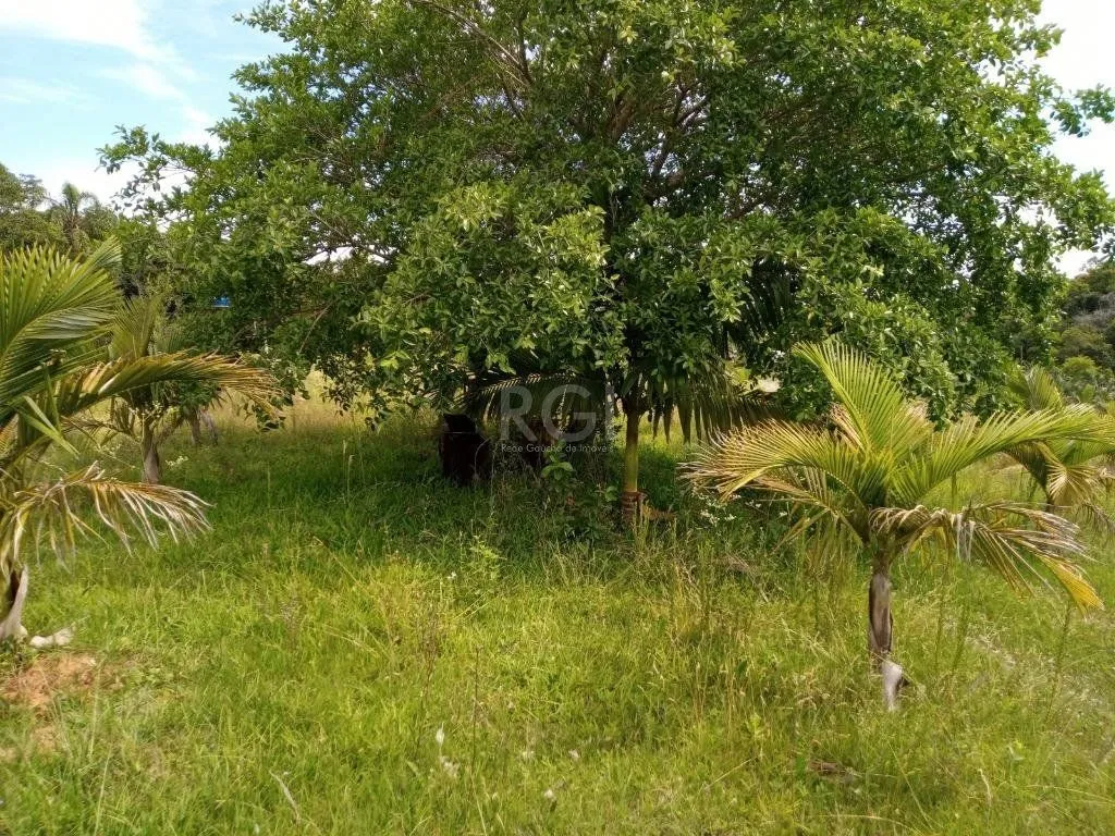 Imagem Boletto Imóveis vende Sitio na RS, Com 7 casas, 2 comerciais, excelente local para vários seguimento fácil acesso , rota para gramado, R$3.900,000,00