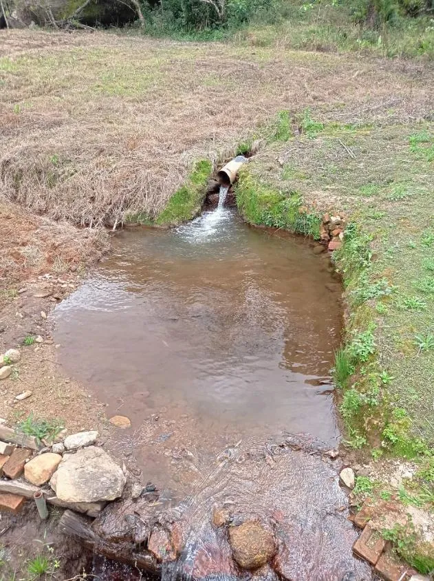 Imagem Fazenda em Joanópolis - R$ 2.000.000,00 - 40 Alqueires e 3 Fontes de Água!