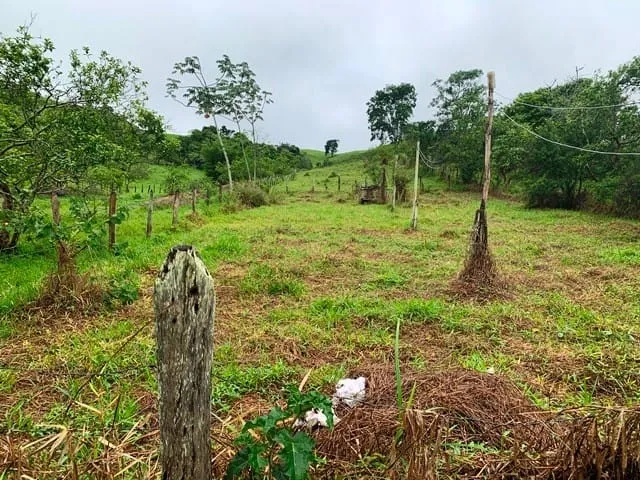 Foto do imóvel Chácara à venda, Borba, Pindamonhangaba, SP