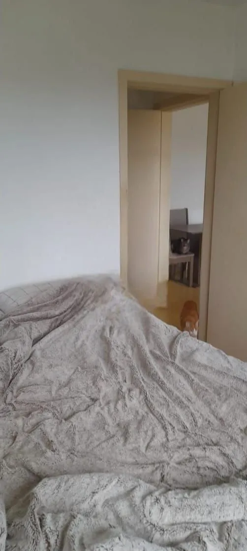 Imagem Apartamento de 3 quartos e 1 vaga de garagem escriturada no bairro Camaquã POA