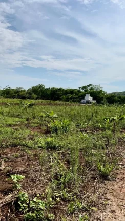 Imagem Chácara no Setor Jardim Rio Dos Peixes, Distrito de Artulândia, Município de Jaraguá-GO.