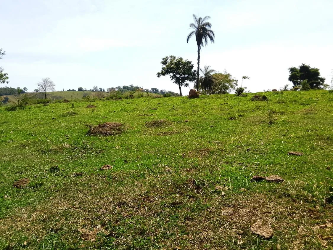 Imagem TERRENO COMPLETO COM 8 ALQUEIRES ? PRÓXIMO A RIO MANSO