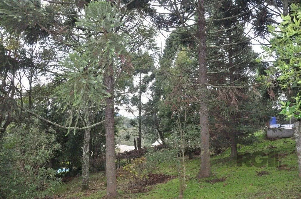 Imagem casa - 3 dorms. - 1 vaga - 155 m² - GRAMADO