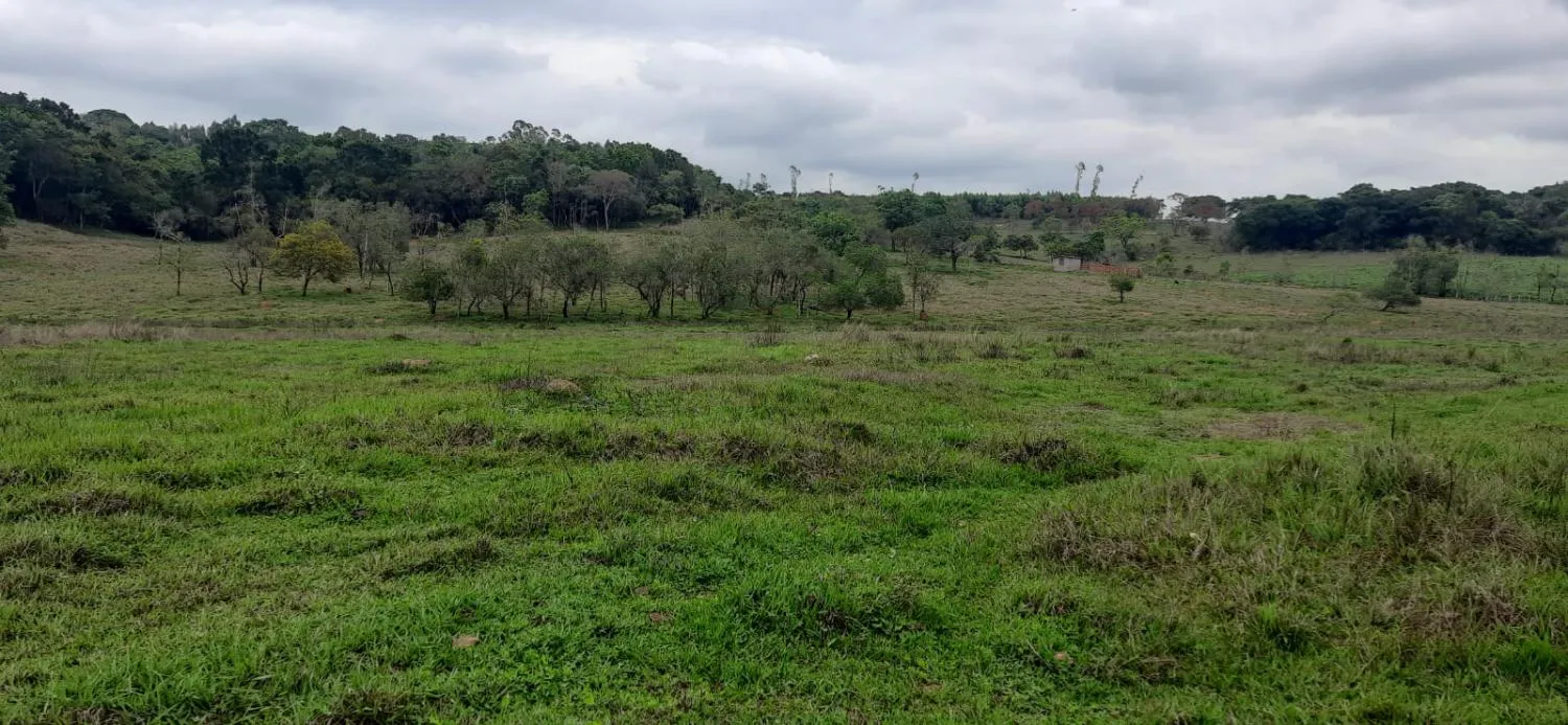 Imagem Terreno à Venda em Carmópolis de Minas 13,5 hectares, todo formado