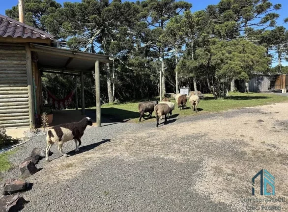 Imagem Propriedade, Pousada a venda na Serra do Rio do Rastro, Bom Jardim da Serra em SC