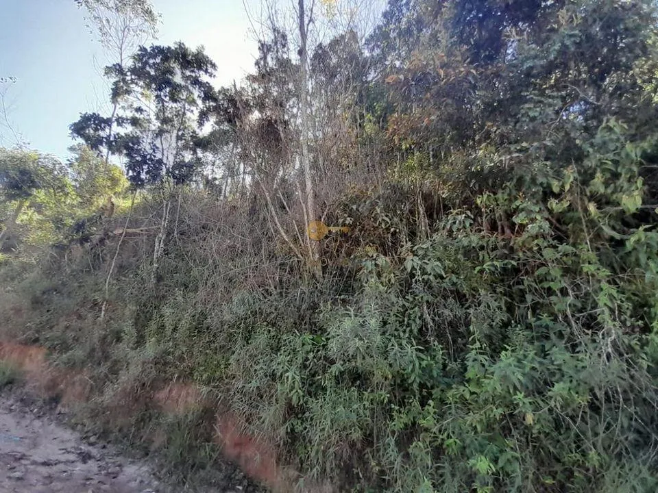 Imagem Terreno para Venda em Teresópolis / RJ no bairro Prata