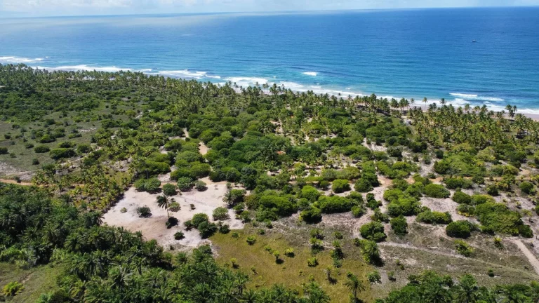 SÍTIO FRENTE MAR - MM