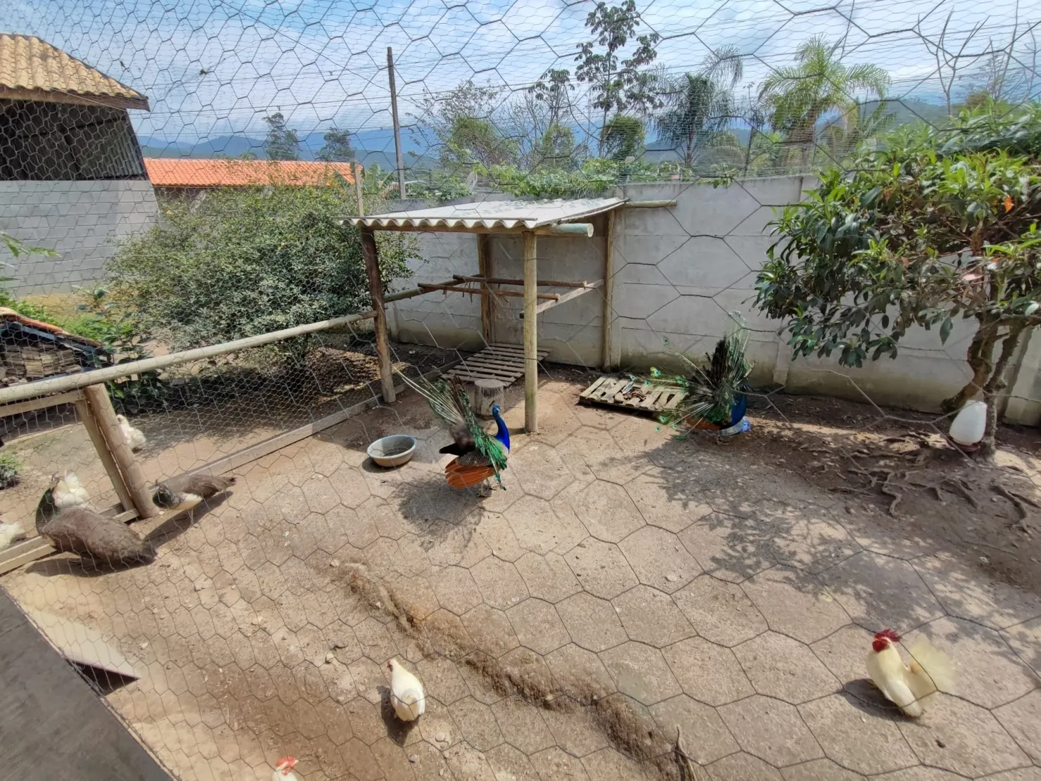 Imagem Chácara à venda 2 Quartos, 4 Vagas, 2100M², Ribeirão Grande, Pindamonhangaba - SP