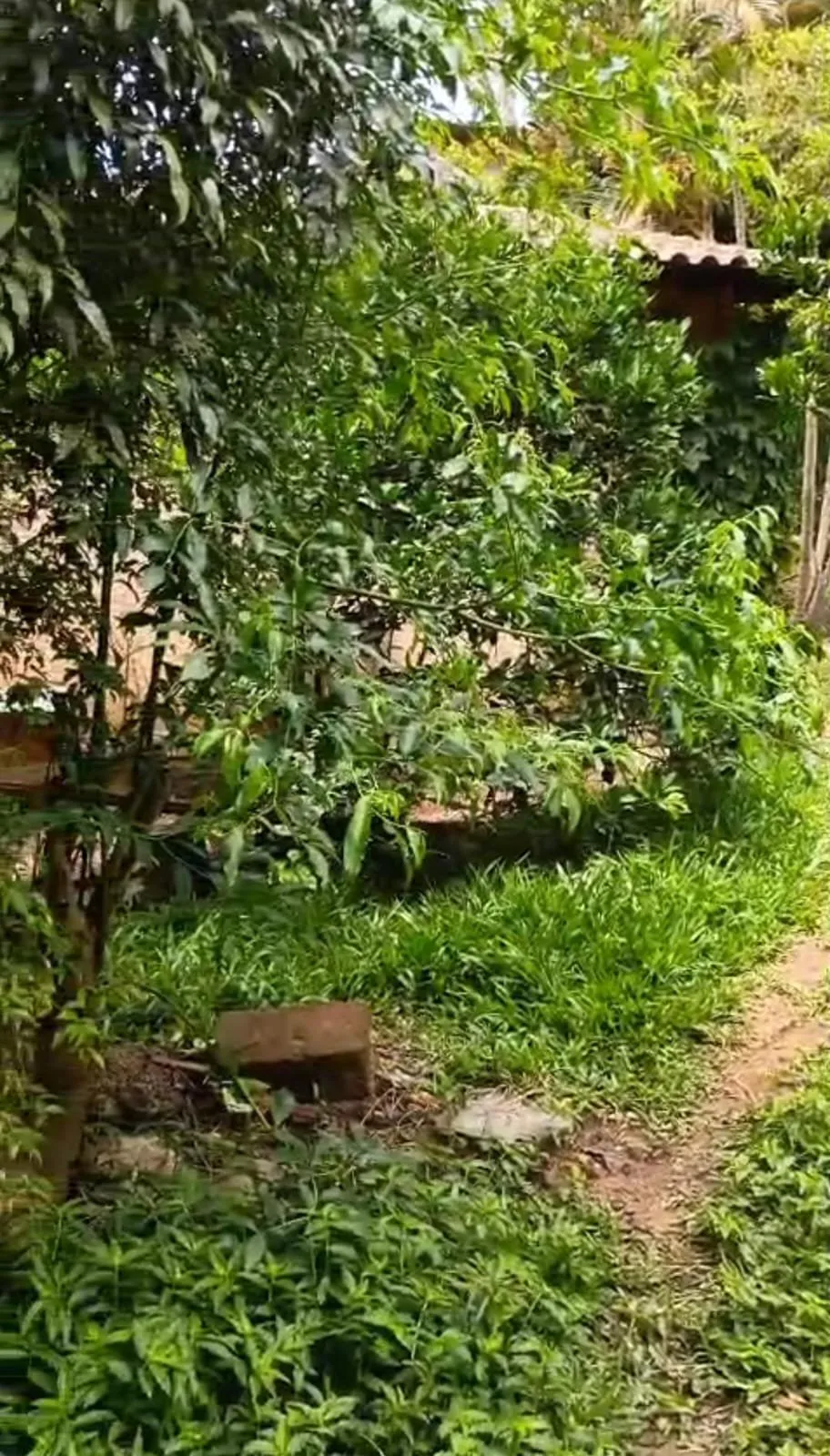 Imagem Terreno à venda em Viamão bairro São Lucas