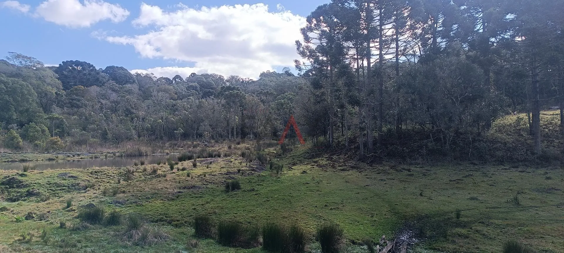 Imagem Chácara à venda com 12,5884 hectares, PALMEIRINHA, GUARAPUAVA - PR
