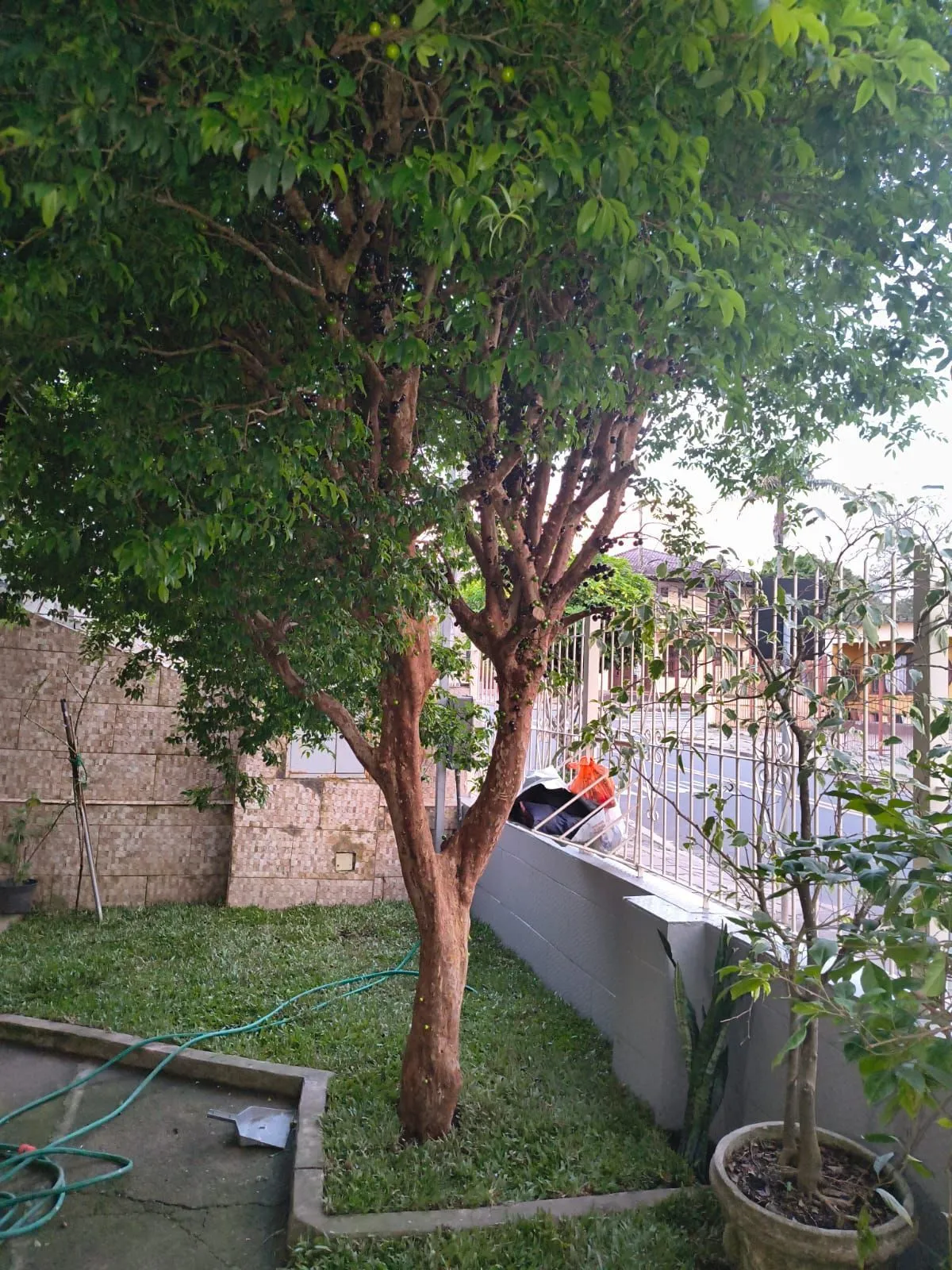 Imagem Casa com 2 vagas de garagem para carros pequenos
