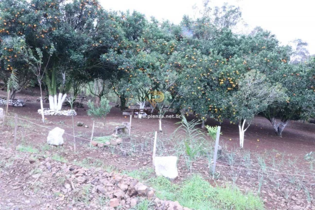 Imagem Área Agrícola para Venda em Lindóia do Sul, Rural