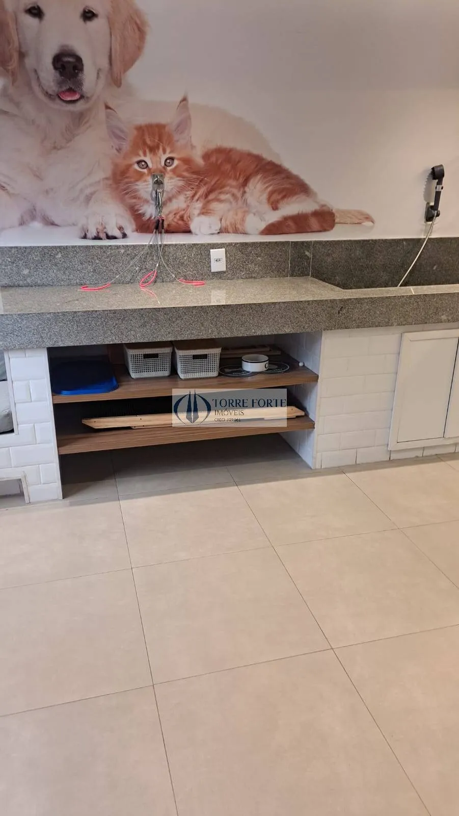 Imagem Apartamento com 2 dormitorios sem vaga , Varanda na Vila Ema.