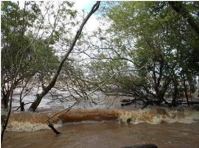 Imagem Terreno em Ponta Grossa