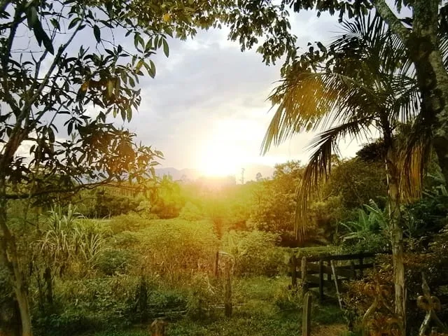 Imagem Chácara à venda 55693.88M², Bom Sucesso, Pindamonhangaba - SP