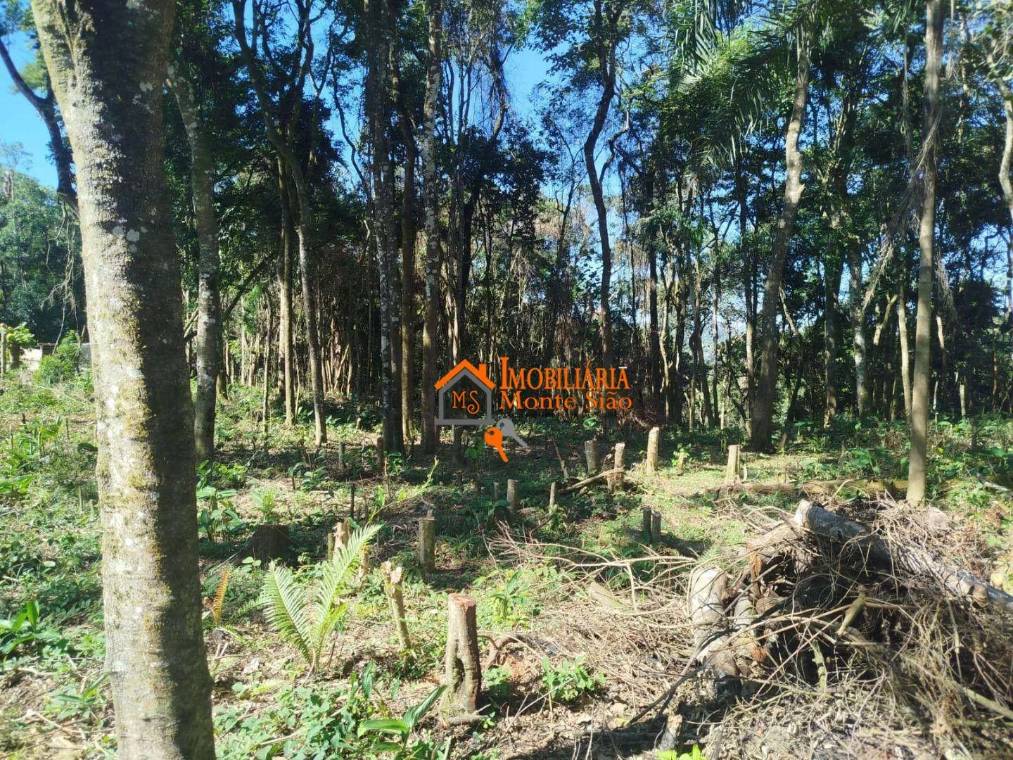 Imagem Terreno à venda, 3.068m² por R$ 212.000 - Parque Santos Dumont - Guarulhos/SP