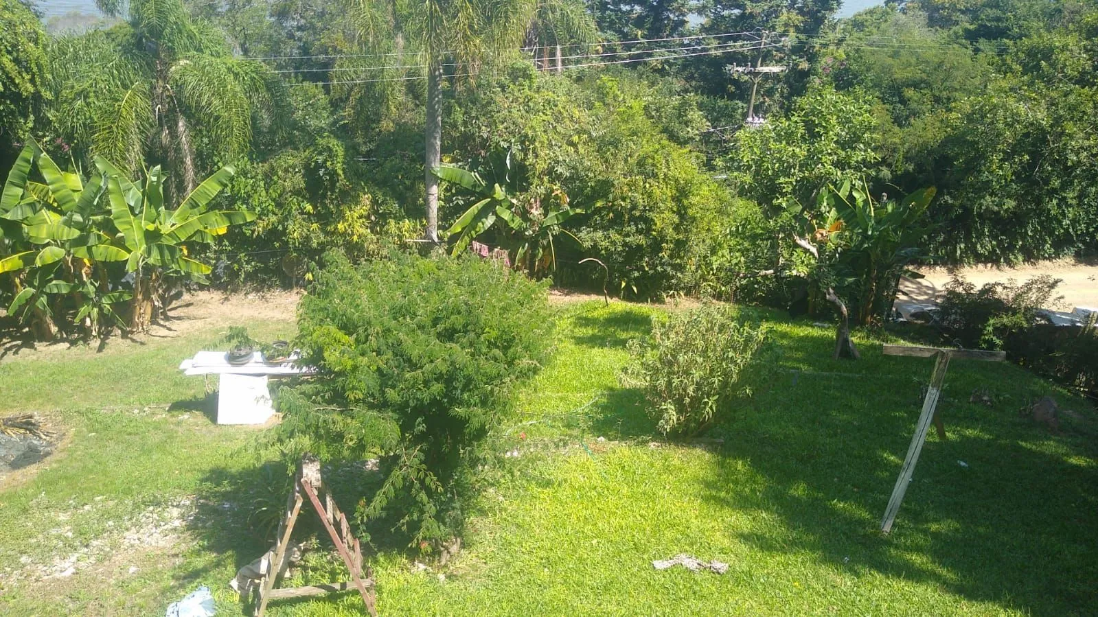 Imagem Sítio para Venda - 240m², 3 dormitórios, sendo 2 suites, 6 vagas - Ponta Grossa