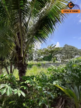 Imagem TERRENO EM LAURO DE FREITAS