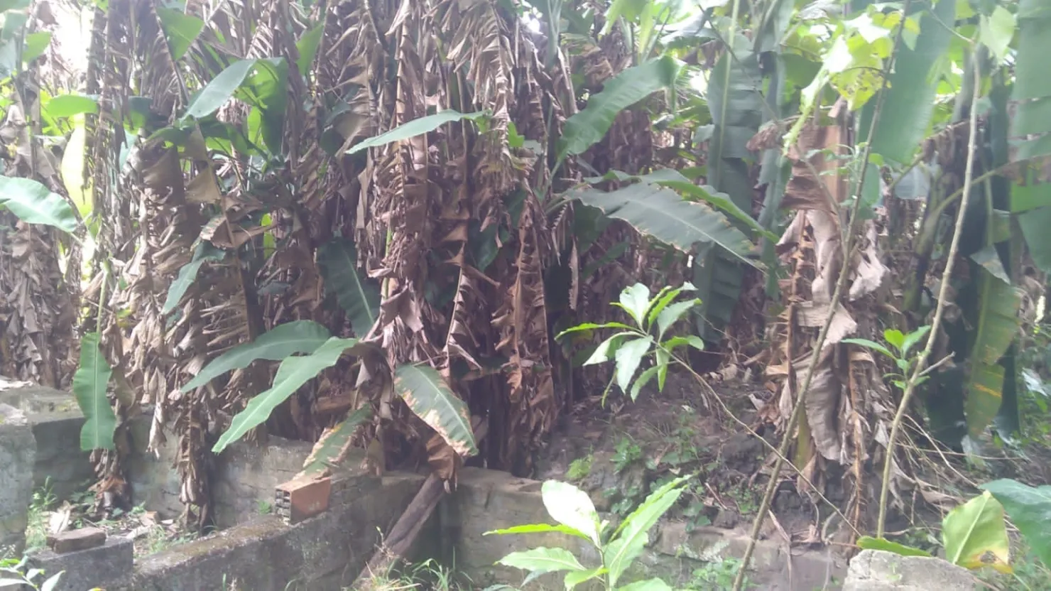 Imagem Terreno à venda 6866M², Crispim, Pindamonhangaba - SP