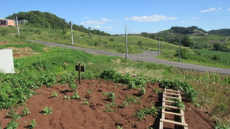 Imagem Terreno para Venda em Concórdia, Interior