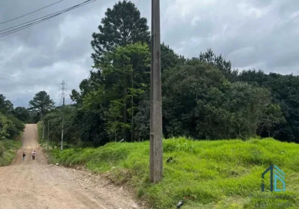Imagem Terreno a venda bem localizado, com 11.600 m², no Abranches em Curitiba PR